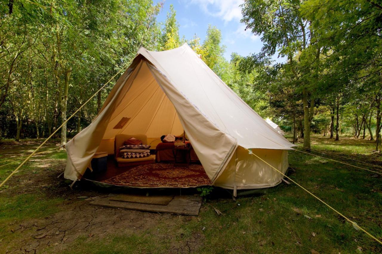 ホテル Dgg Woodland Escape South Barrow エクステリア 写真