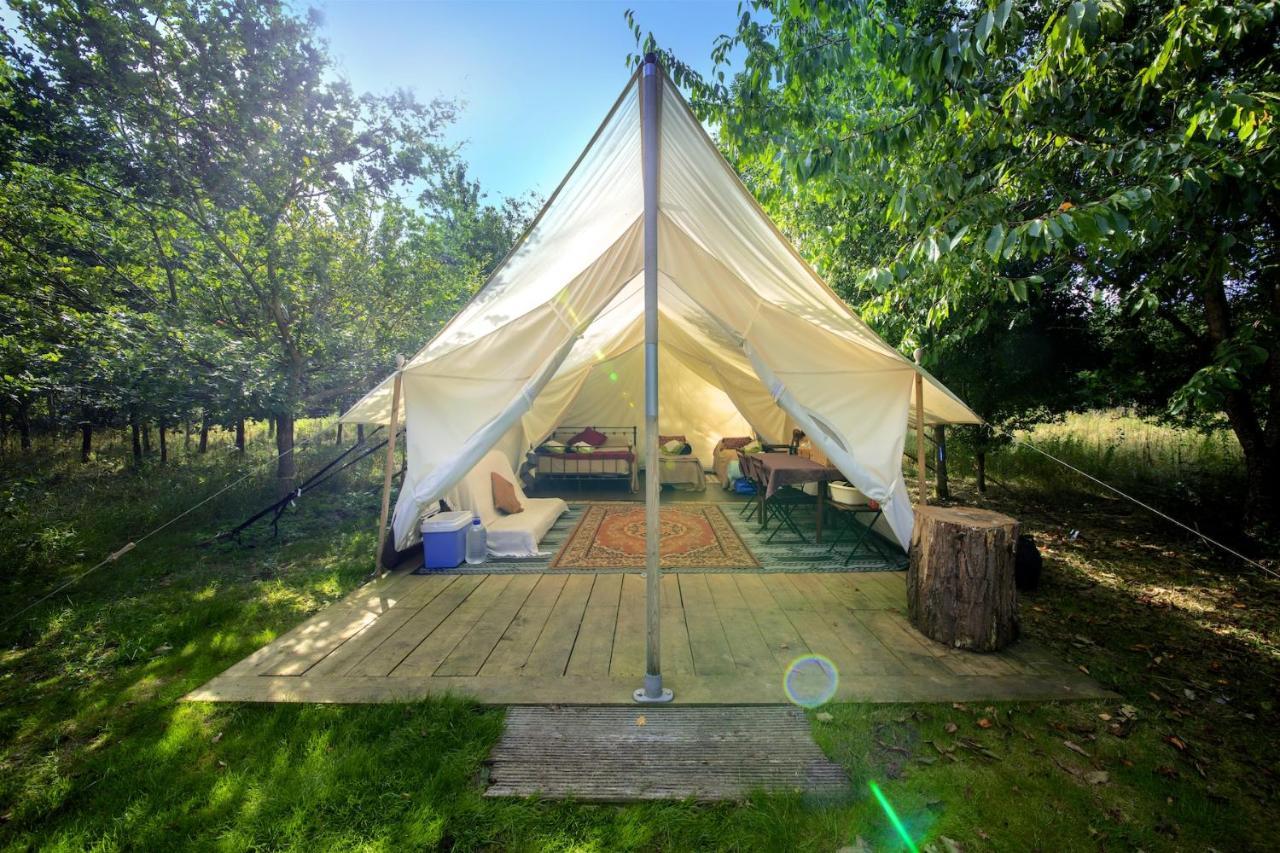 ホテル Dgg Woodland Escape South Barrow エクステリア 写真