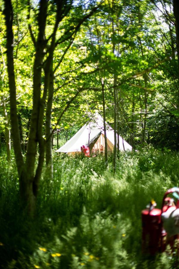 ホテル Dgg Woodland Escape South Barrow エクステリア 写真