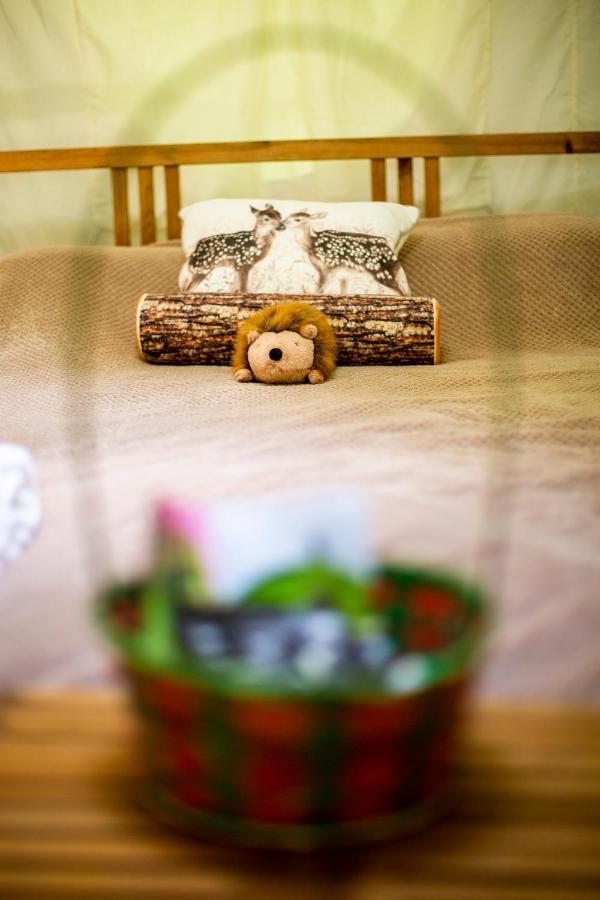 ホテル Dgg Woodland Escape South Barrow エクステリア 写真