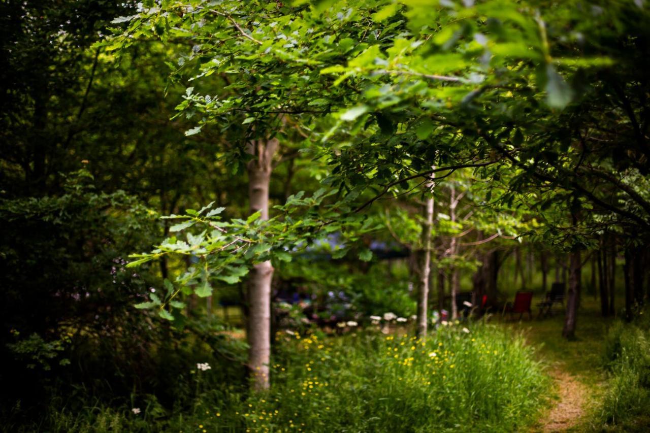 ホテル Dgg Woodland Escape South Barrow エクステリア 写真
