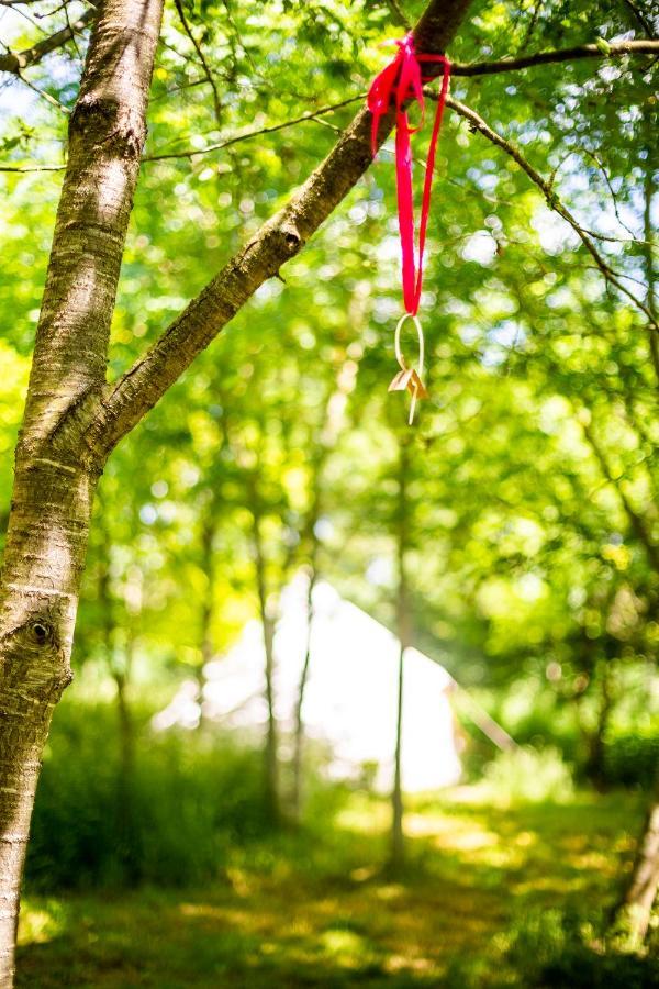 ホテル Dgg Woodland Escape South Barrow エクステリア 写真