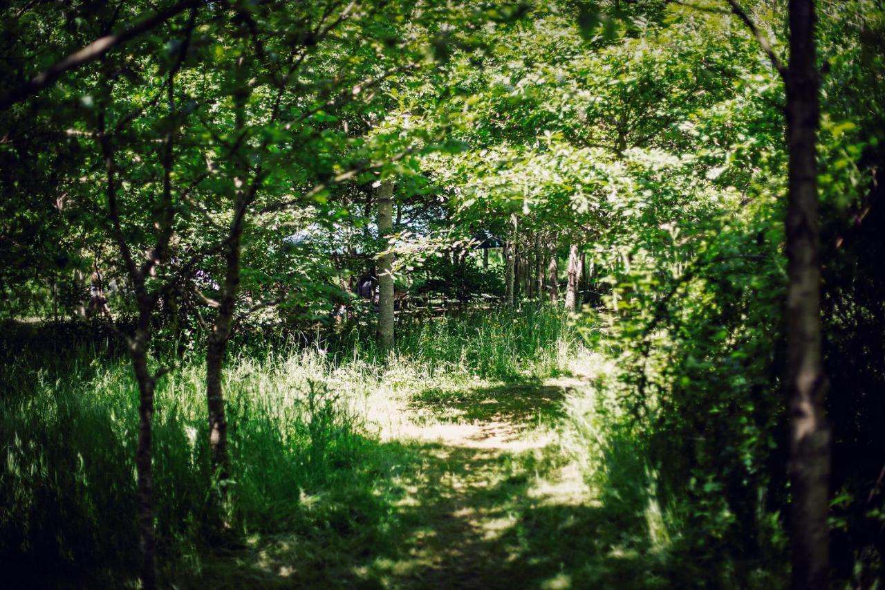 ホテル Dgg Woodland Escape South Barrow エクステリア 写真