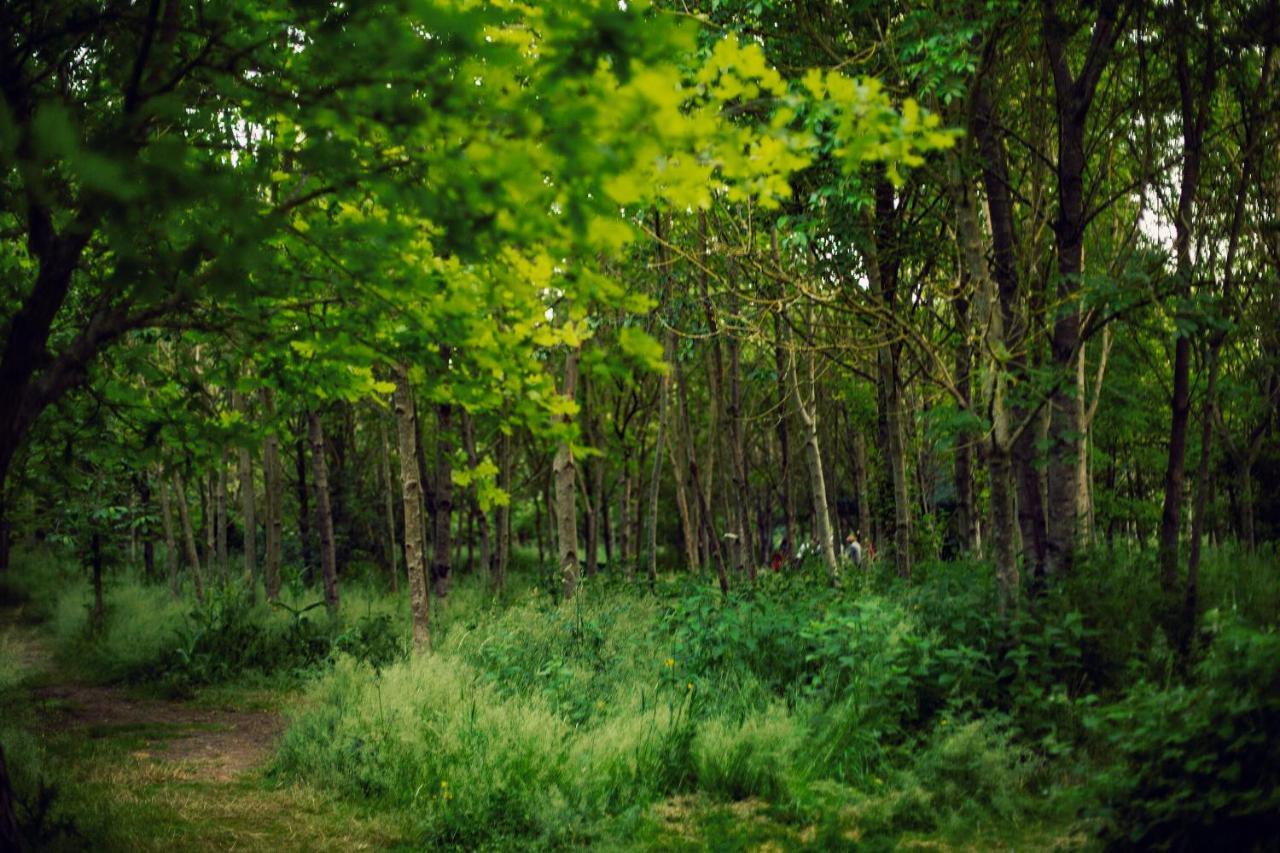 ホテル Dgg Woodland Escape South Barrow エクステリア 写真