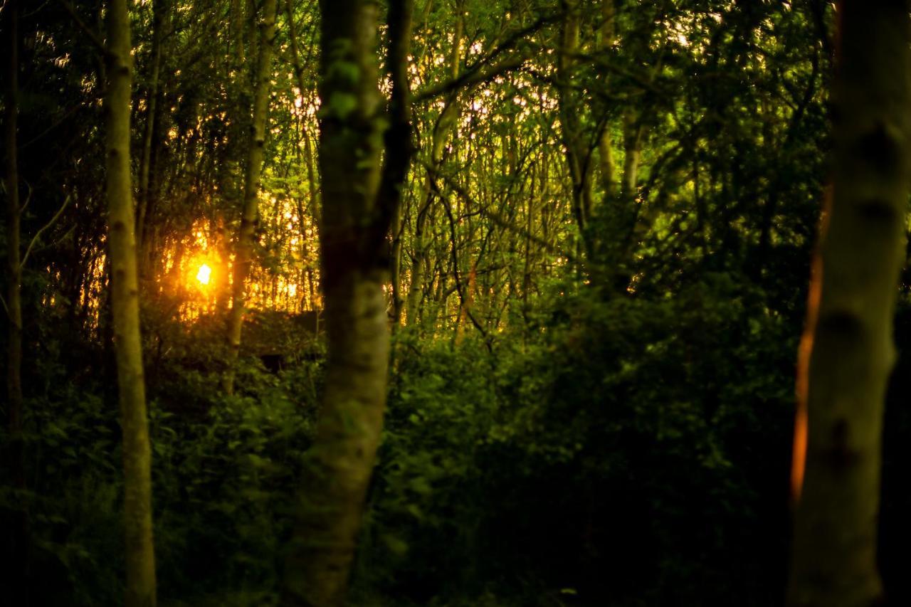 ホテル Dgg Woodland Escape South Barrow エクステリア 写真