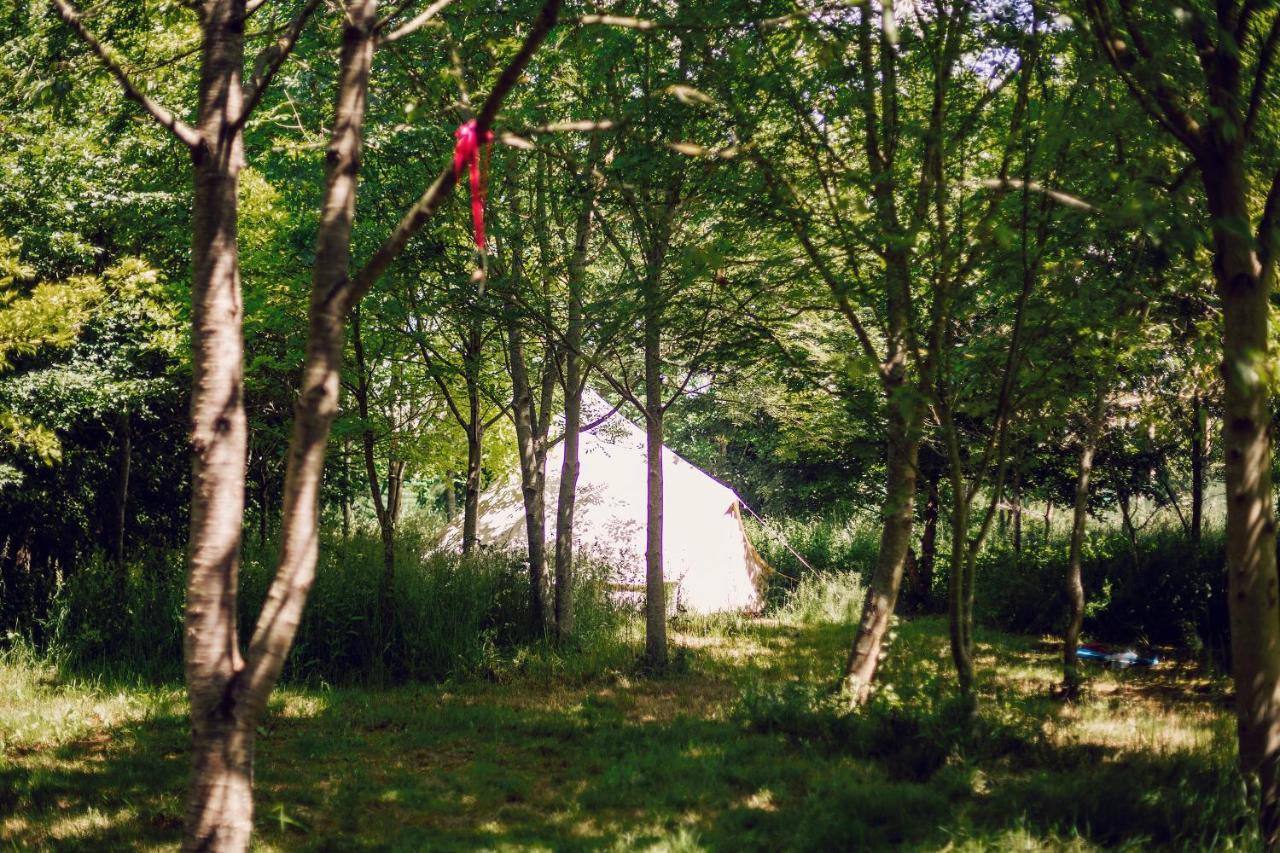 ホテル Dgg Woodland Escape South Barrow エクステリア 写真