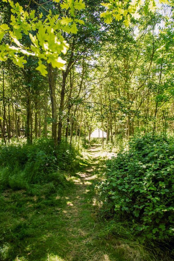 ホテル Dgg Woodland Escape South Barrow エクステリア 写真