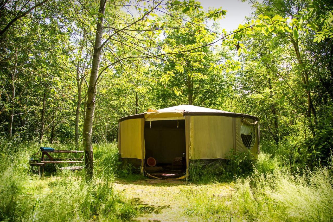 ホテル Dgg Woodland Escape South Barrow エクステリア 写真