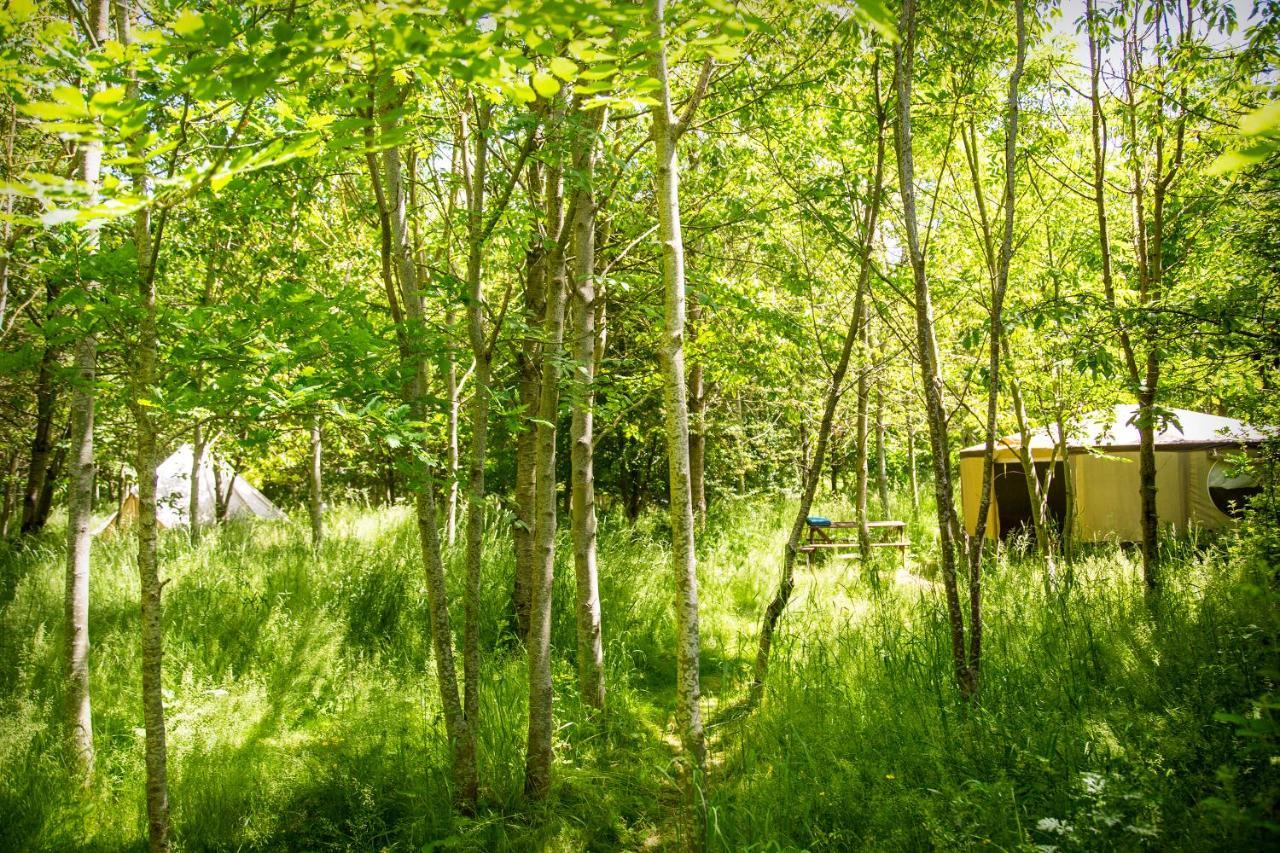 ホテル Dgg Woodland Escape South Barrow エクステリア 写真