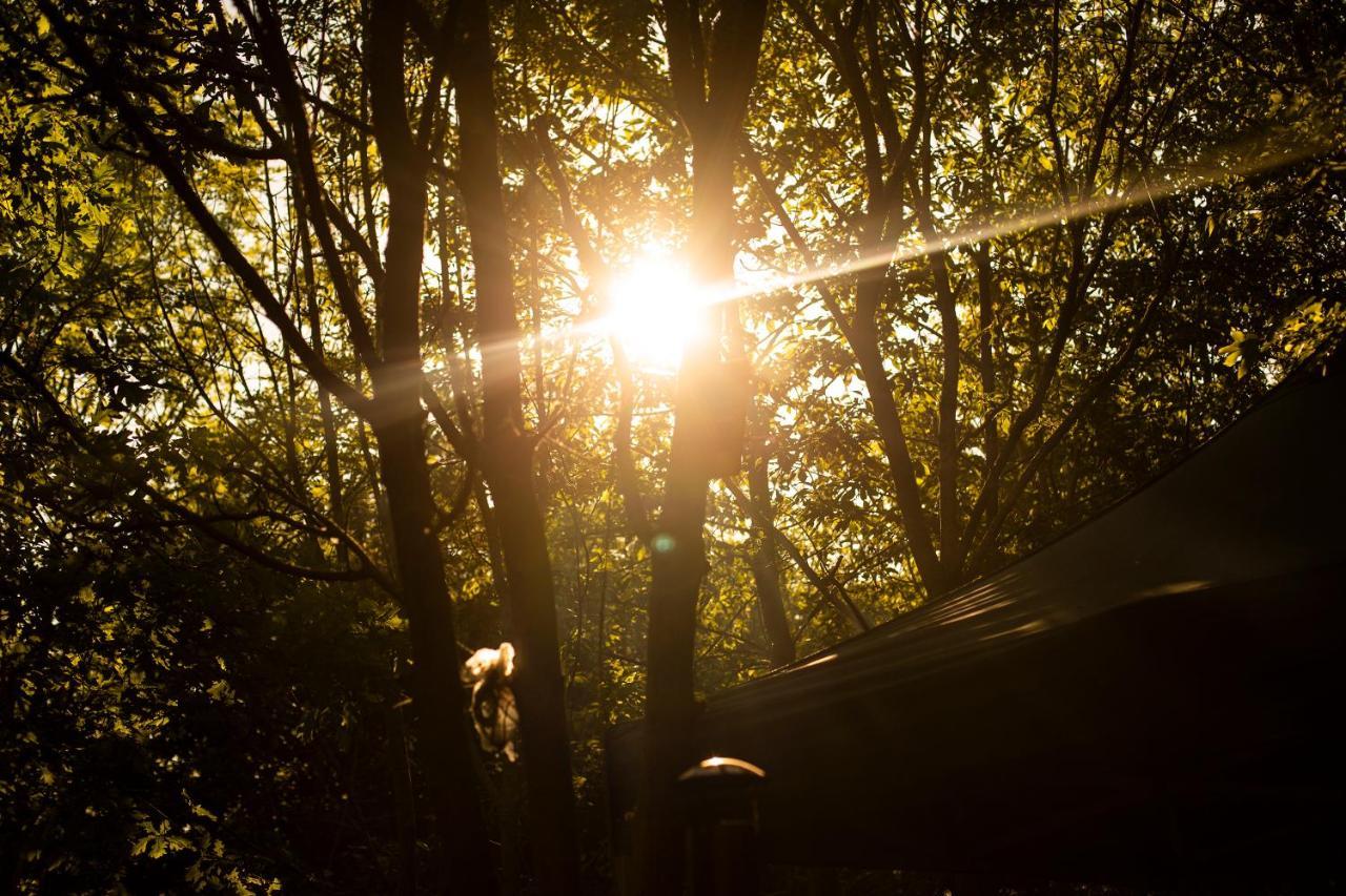 ホテル Dgg Woodland Escape South Barrow エクステリア 写真