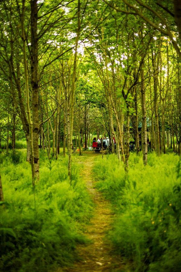 ホテル Dgg Woodland Escape South Barrow エクステリア 写真