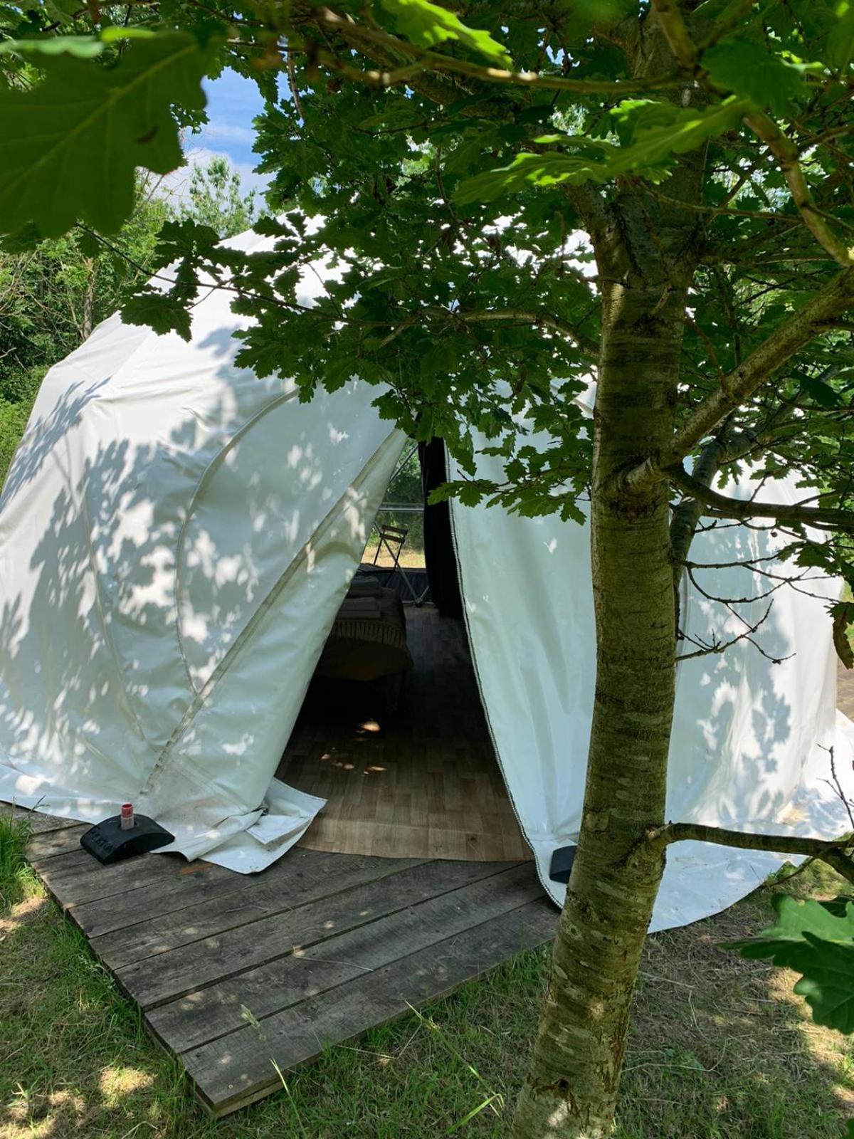 ホテル Dgg Woodland Escape South Barrow エクステリア 写真
